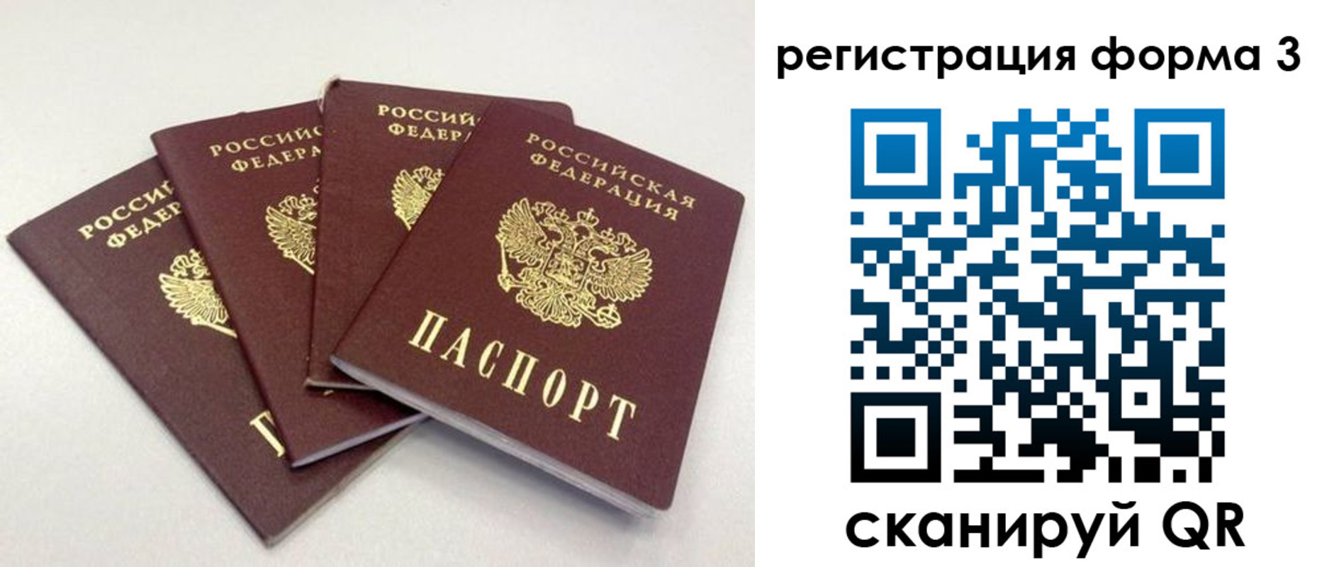 прописка 2025 в Звенигово